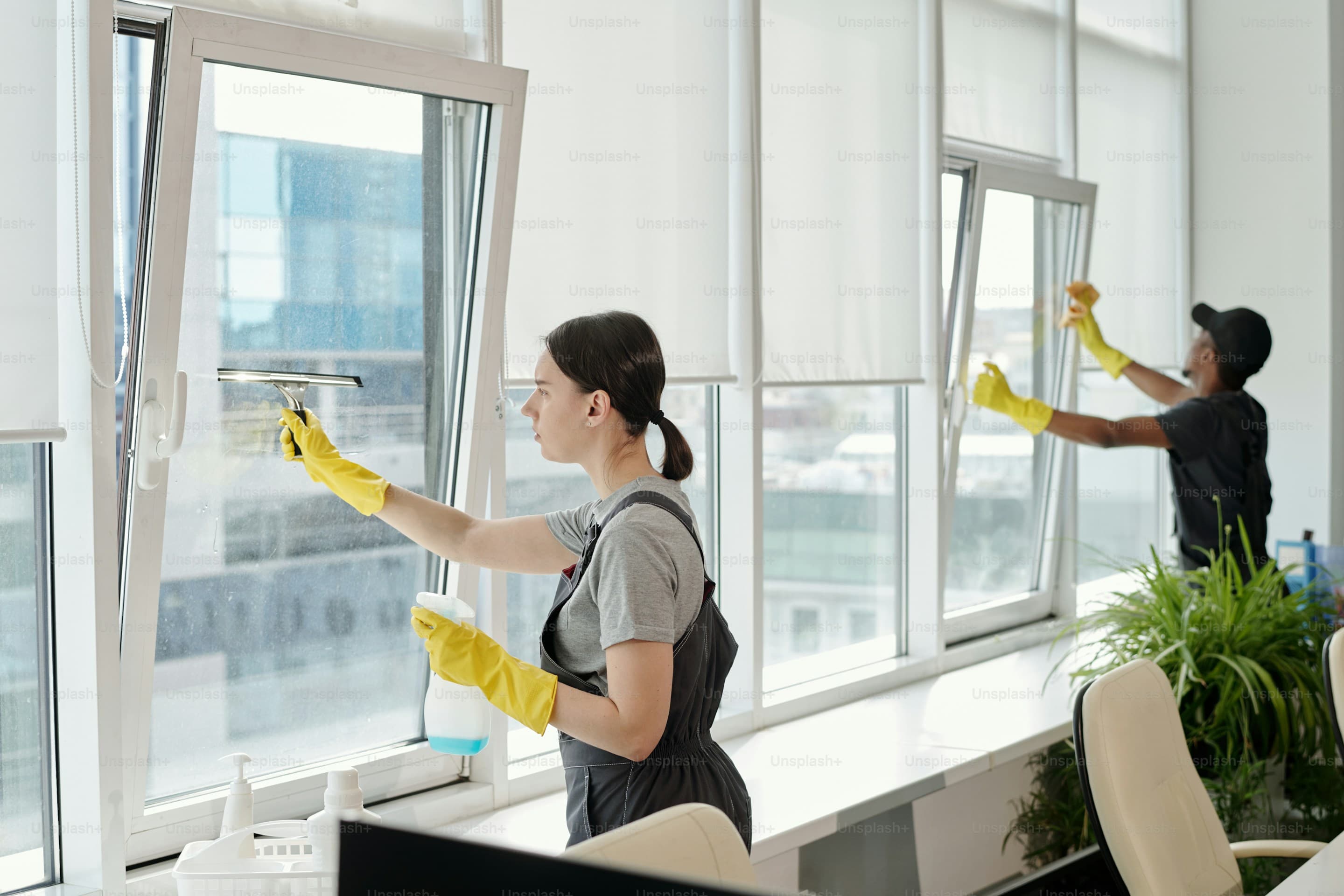 Window cleaning professionals